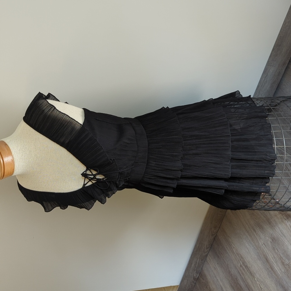 Express Ruffled Dress - Picture 2 of 12